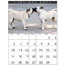 Colourful Printed Wall Calendar