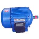 Single/ Three Phase Torque Motor