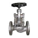 Industrial Grade Steam Valve