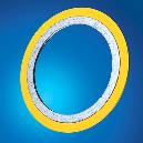 Spiral Wound Gasket With Outer Ring