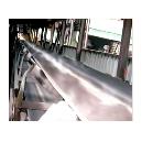 Heat Resistant Conveyor Belt