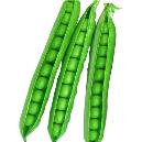 Hygienically Processed Green Peas