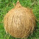 Coconuts With Natural Essence