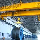 Double Girder EOT Crane