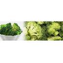 Vitamin C Enriched Fresh Broccoli