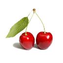 Fresh Full Grown Cherry Fruit