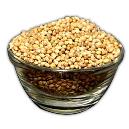 Coriander Seeds With Medicinal Properties