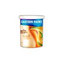 Weather Resistant Exterior Wall Paint