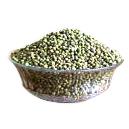 White Pepper With Medicinal Properties