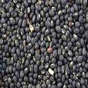 Nutritious Black Matpe Beans