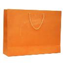 Eco Friendly Coloured Gift Bags