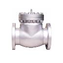 Non Return Valves/ Check Valves