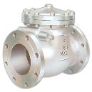 Swing Check Valve With Flanged Ends