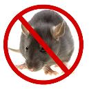 Non- Poisonous Odourless Rat Repellent