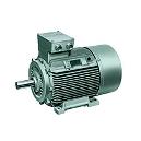 Alternative Current Induction Motors