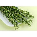 Natural Rosemary/ Green Tea Extract With Antioxidant Properties