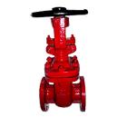 Control And Shut Off Valves