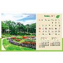 7 Sheeter Green Garden Calendar