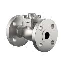 Cryogenic Type Check Valves