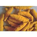 Single Polished Turmeric Finger