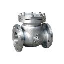 Compact Swing Check Valve