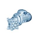 Rotomotive Worm Gear Box