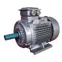 Three Phase Electric Motor