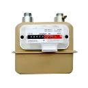 Domestic/ Commercial Purpose Gas Meter