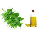 Organic Type Neem Oil