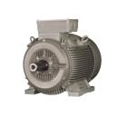 Three Phase AC Motor