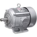 Industrial Purpose Torque Motor