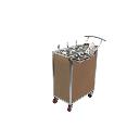 Golden Finished Trolley And Dustbin