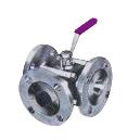 Multi Ported Ball Valve