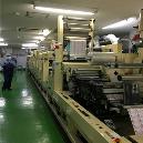 Industrial Purpose Flexo/ Rotary Machine