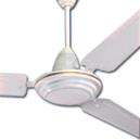 Ceiling Fans