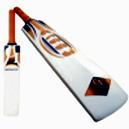 Cricket Bat - Kashmiri Willow - Destructer