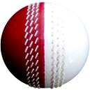 Cricket Balls Poly Soft