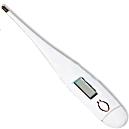 Digital Thermometers