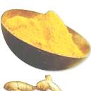 Indian Spice Turmeric