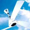 Dynamic Design Ceiling Fans