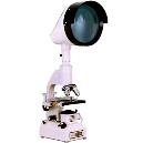 Projection Microscope With 160 Mm Monocular Fixed Straight