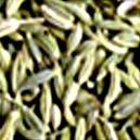 Sweet And Mild Fennel Seed