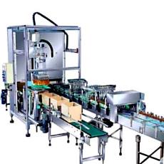 Case Packer Machine