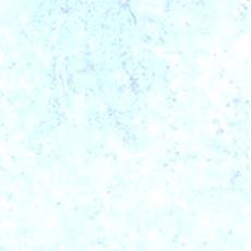 Essenzia Blue Ceramic Wall Tile