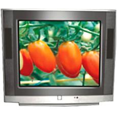 54Cms Flat Television With Noise Reducer Technology