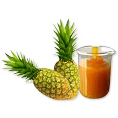 Pineapple Pulp