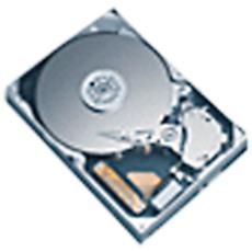 200/250Gb Hard Disk Drive