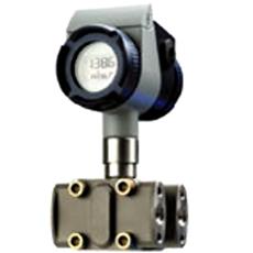 Dtrans P02 Delta Pressure Transmitter