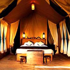 Wooden Platform Tents