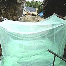 Mosquito Net